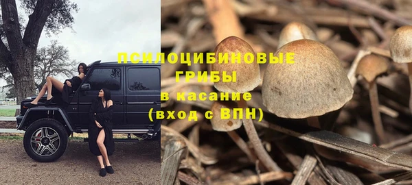прущие крисы Абинск