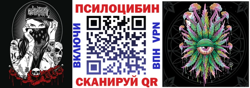 закладки  Питкяранта  Псилоцибиновые грибы мухоморы 